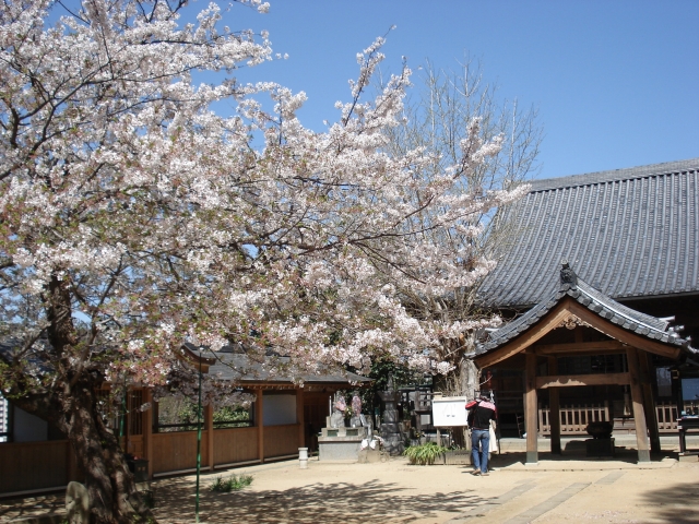 西区まるごと博物館「西区の宝」パネル展