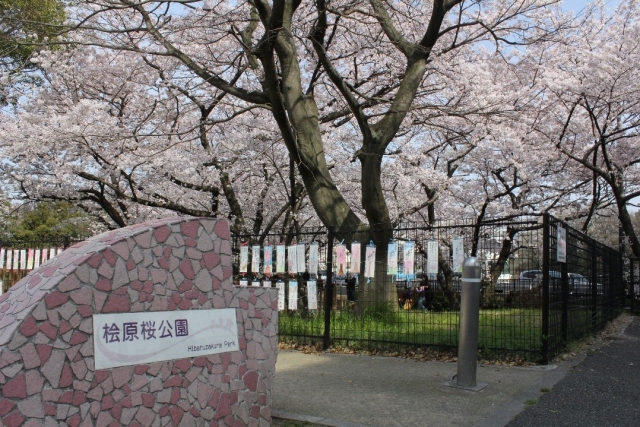 桧原桜　短歌と写真のパネル展