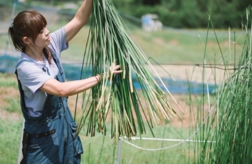 大分県国東半島宇佐地域世界農業遺産パネル展示
