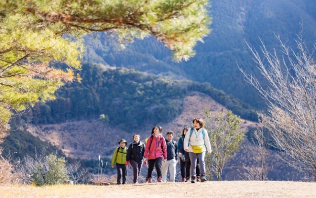 ささぐりの魅力、再発見!~あなたが知らないささぐりがここにある~