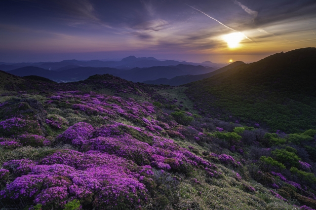 山に魅せられて