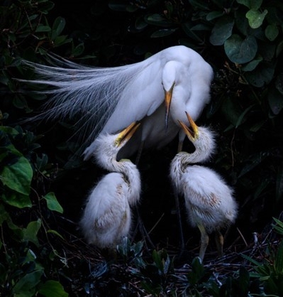 自然と四季の輝き＜グループ写真展＞　