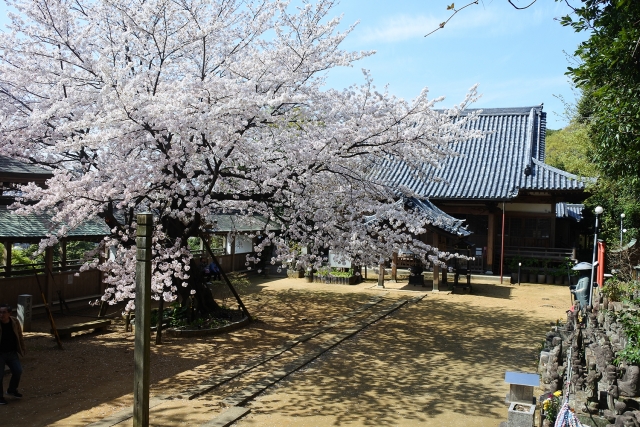 西区まるごと博物館「西区の宝」パネル展