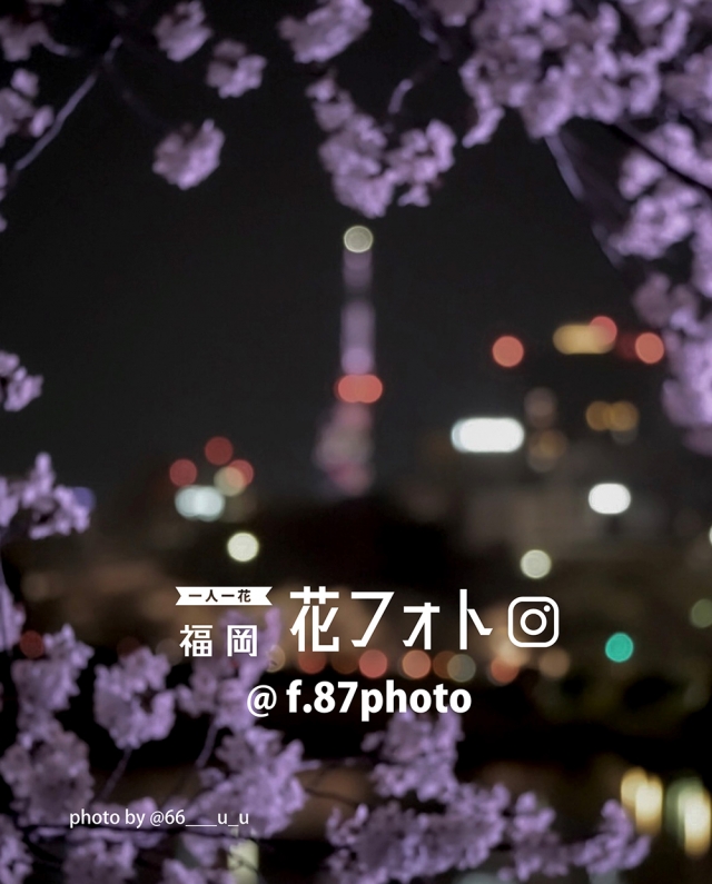 一人一花福岡花フォト　Archive2025-2026　FUKUOKA花のある風景展