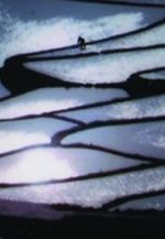 遠い昔オリンピックを夢みた元陸上選手の写真と絵画の二人展