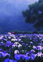 第18回　フォトしゅん写真展