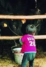 探検！玖珠町、田舎の味を求めて～豊後玖珠牛編～