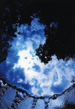 写楽会10周年記念写真展