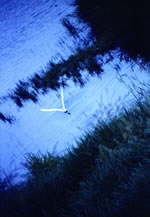 写真展「風韻」