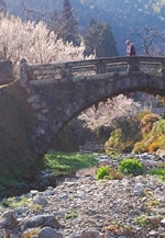 第3回　立花町写真コンテスト入賞作品展