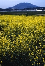 サン・フォト倶楽部写真展