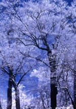 写団筑紫野の風作品展