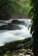 絶景・菊池渓谷