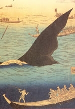 アクロス・文化学び塾「日本とクジラ」展について