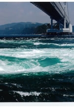 第19回フォトしゅん写真展