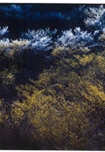 「みやこんじょう」三人＋α展