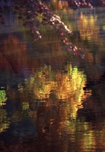 ミノルタカメラクラブ写真展