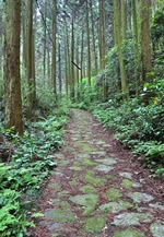 「長崎街道歩こうマップ」パネル展