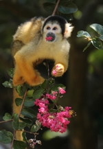 西日本写真協会博多支部 第11回「金曜会」作品展