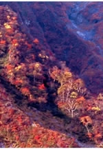 第7回写楽の会「写真展」