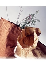 おおばやし陽子の和紙