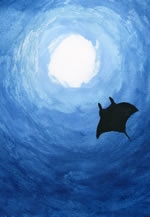 こころのたび展