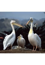 第22回キヤノンフォトクラブ福岡写真展