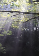 福岡写真撮影サークル「散歩道」作品展