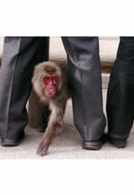 西日本写真協会　福岡写好会支部　第7回写好会作品展