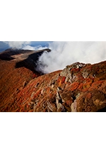 フォトクラブ四季彩　三人展