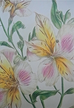 娘のデッサン修行展