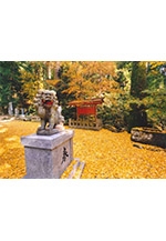 久山町の魅力発信！写真パネル展