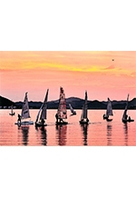 第25回福岡フォトフレンドさくら　写真展