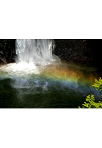 第21回フォトしゅん写真展