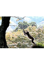 第8回写楽の会「写真展」