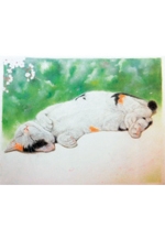 あっちもこっちも猫!~気まぐれ猫の絵画展~