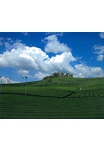 第11回水土里（みどり）のふるさと写真コンテスト入賞作品展