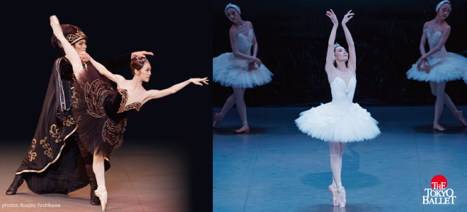 Fukuoka Ballet Festival <br />
The Tokyo Ballet <br />
First Ballet Experience: Swan Lake