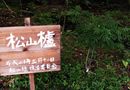 松山櫨の植樹は、私有地や庭へ1本でもいいので植樹を希望する人を募っている