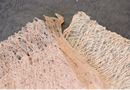 楮の繊維を薄く伸ばした繊維布。自然の網目が、ふたつとない模様を生み出している